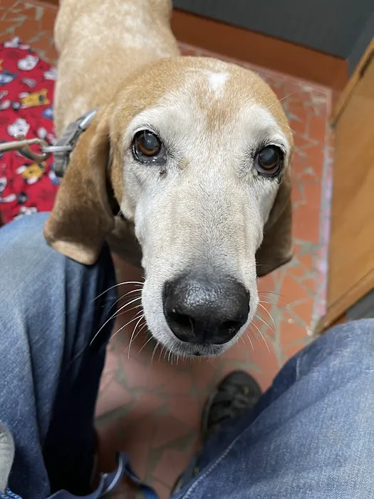 Eneco Inc. Quality Since 1977 Picture 2