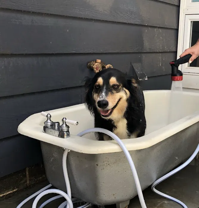 Mr. Rooter Plumbing of Buncombe & Henderson Counties Picture 1