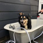 Mr. Rooter Plumbing of Buncombe & Henderson Counties