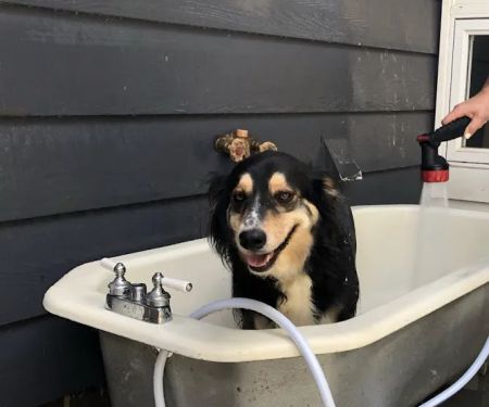 Mr. Rooter Plumbing of Buncombe & Henderson Counties