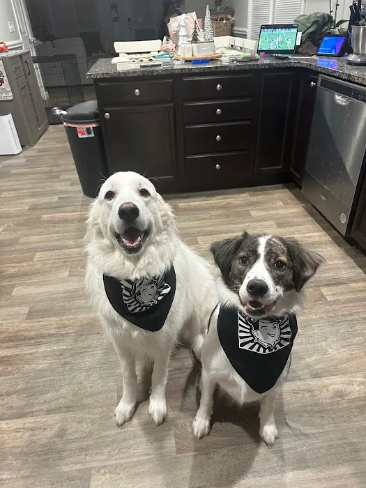 Mr. Rooter Plumbing of Buncombe & Henderson Counties Picture 5