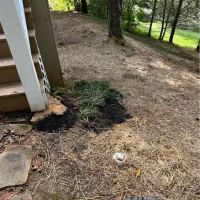 All About Plumbing - Mills River ico