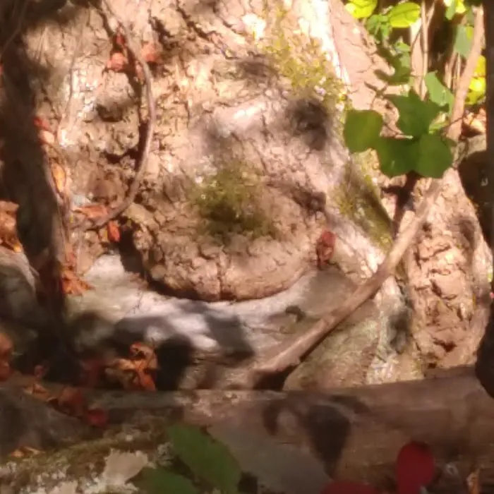 Asheville Heating & Air Conditioning Picture 2