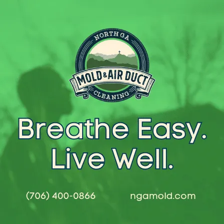 North Georgia Mold & Air Duct Cleaning Picture 7