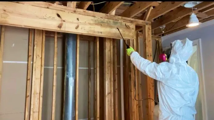 Clean Air Crew Picture 3