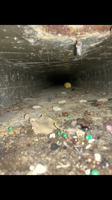 Clean Air Crew Picture 6