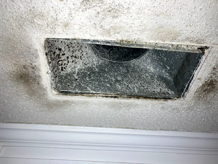 Clean Air Crew Picture 4