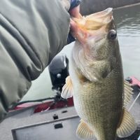 Goins Heating & A/C ico