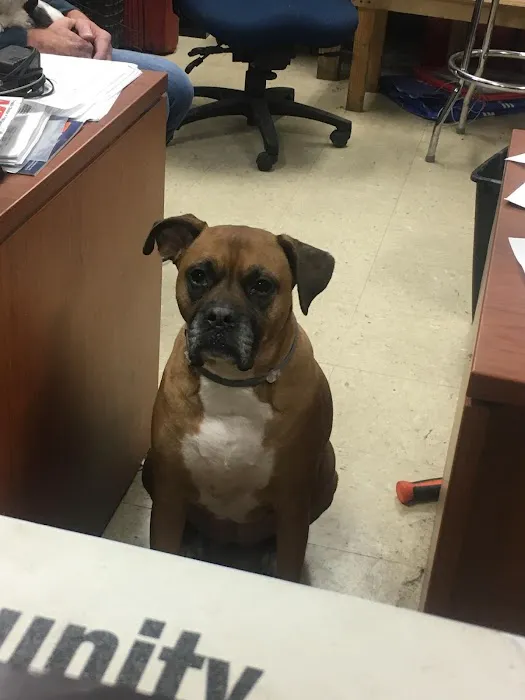 T&T Auto & Truck, LLC Picture 3