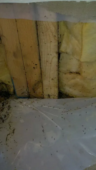 Rocket City Restoration, Inc. Picture 10