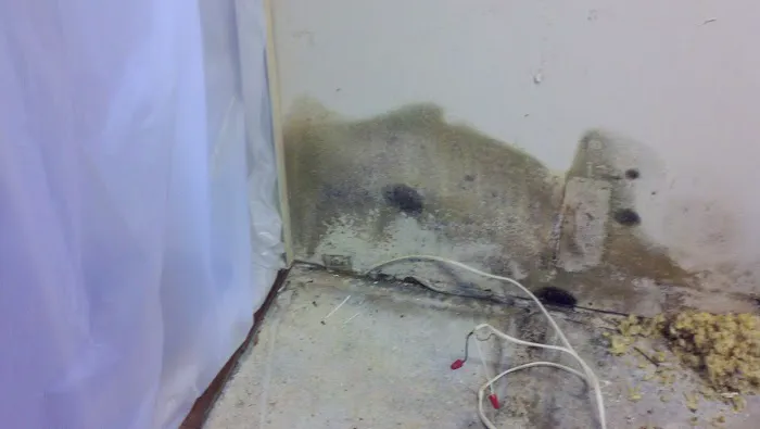 Rocket City Restoration, Inc. Picture 8