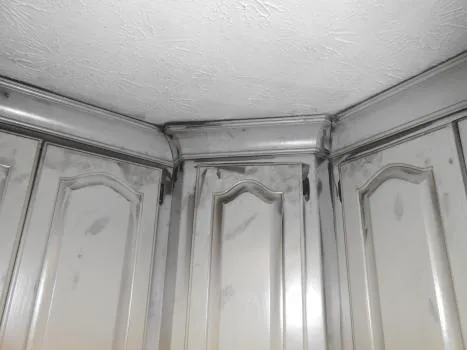 Rocket City Restoration, Inc. Picture 3