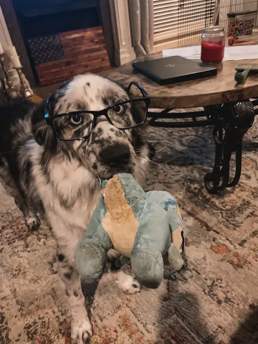 Chad Simmons Heating & Cooling Picture 1