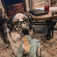 Chad Simmons Heating & Cooling ico