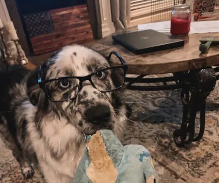 Chad Simmons Heating & Cooling