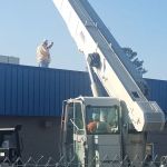 AIR SERVICES LLC Al.Lic. 16070