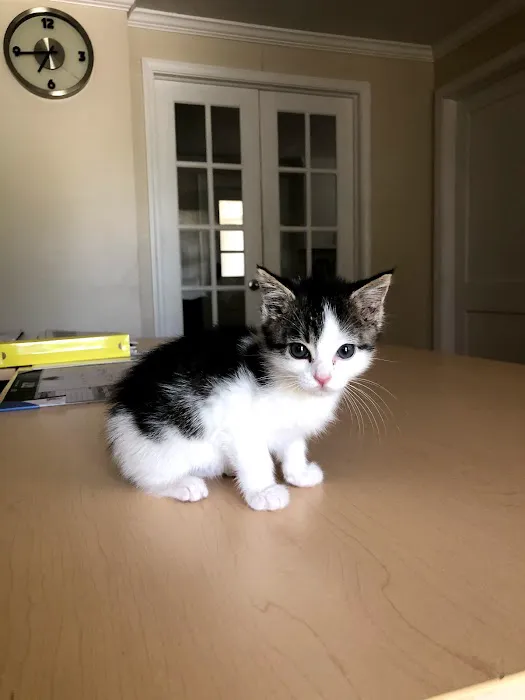 Travis Heating and Air Conditioning Picture 7