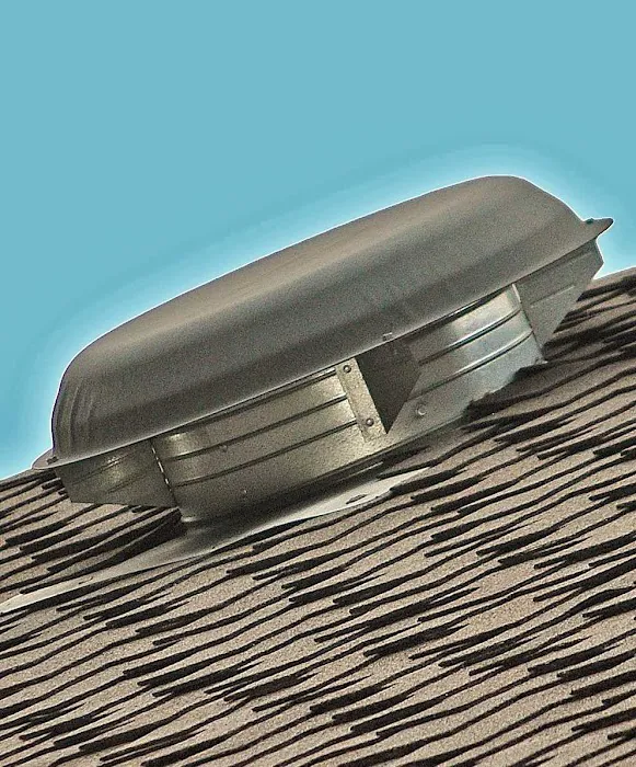 Fan Man Inc. Picture 8