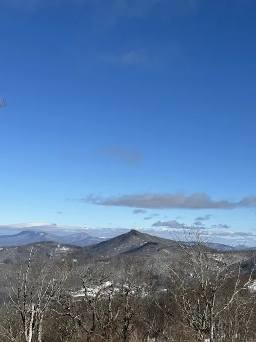 Linkous Heating and Air Picture 6