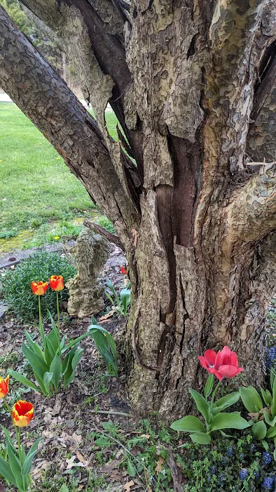 Airetech Sales Service and Refrigeration Picture 3