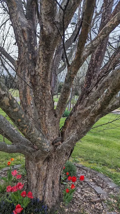 Airetech Sales Service and Refrigeration Picture 4