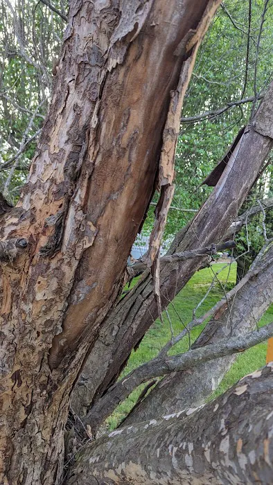 Airetech Sales Service and Refrigeration Picture 2