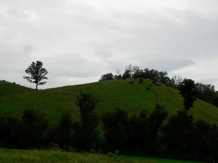 Advantage Air Picture 4