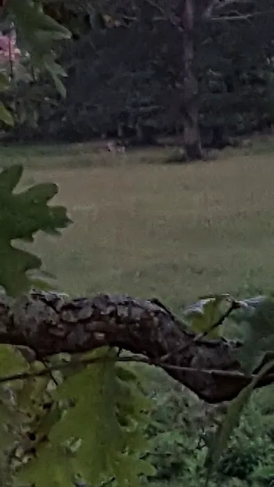 Wolaver Heating & Cooling Picture 1