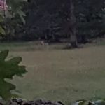 Wolaver Heating & Cooling