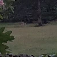 Wolaver Heating & Cooling ico