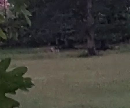 Wolaver Heating & Cooling