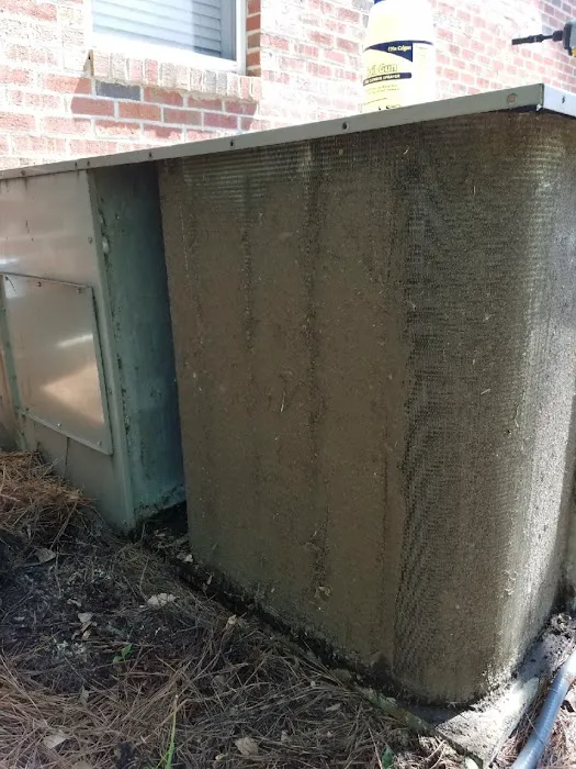 Honest Air Picture 7