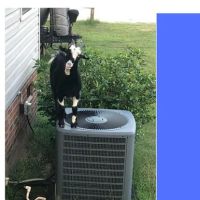 Fayetteville Heating & Air Conditioning Contractors Inc. ico