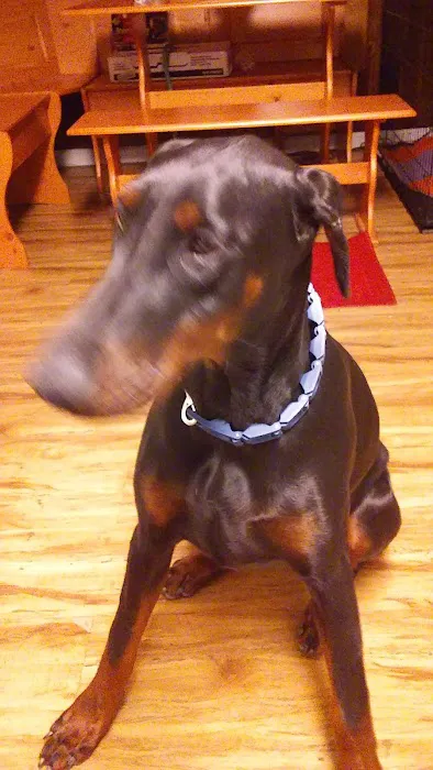 Heating and Air Conditioning Picture 5