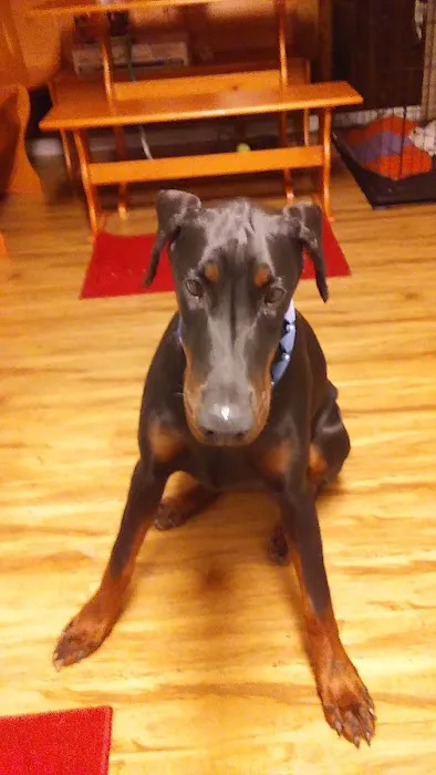 Heating and Air Conditioning Picture 1