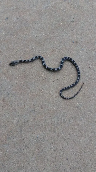 Medley Electric Co Inc Picture 1