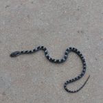 Medley Electric Co Inc