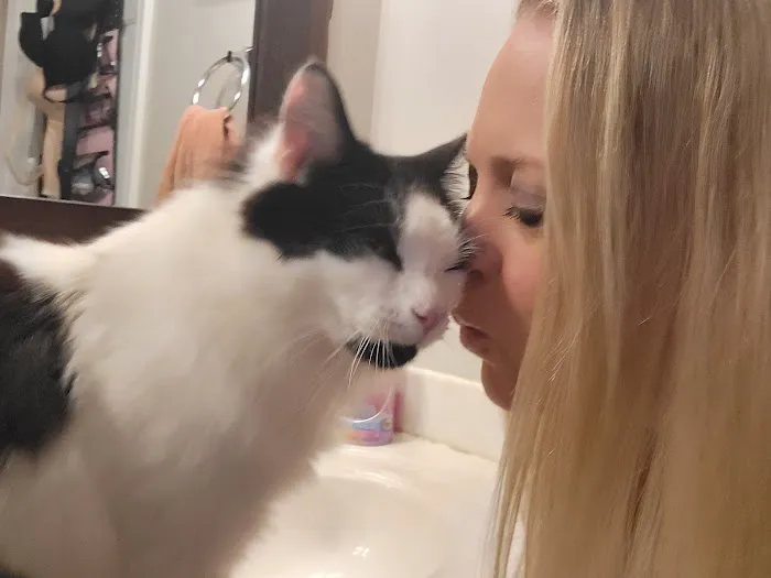 G+S Heating Air Energy Services Picture 4