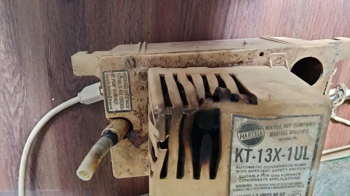 Caywood Comfort Picture 6