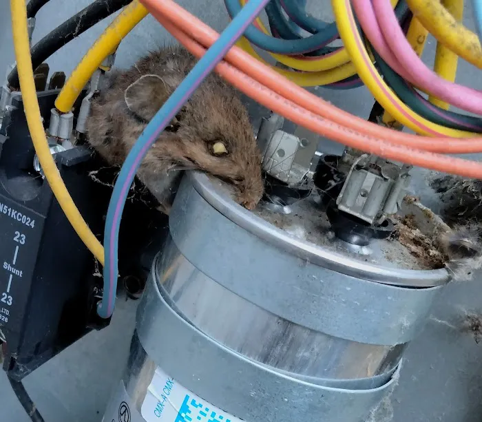 Caywood Comfort Picture 4