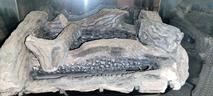 Caywood Comfort Picture 1