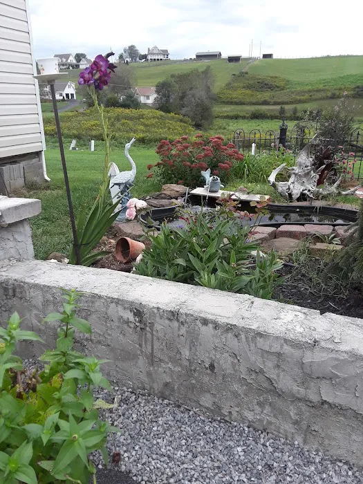 Mountain Air Inc Picture 1