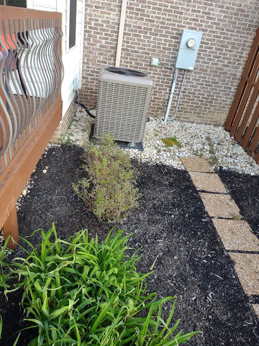 Newman Air Picture 7