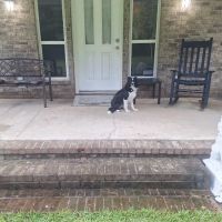 Fleur De Lis Heating & Air ico