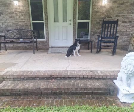 Fleur De Lis Heating & Air