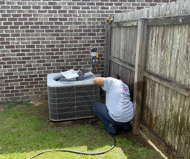 Jenner&Sons Picture 2