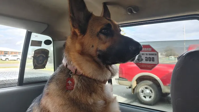 Southeastern Controls Picture 3