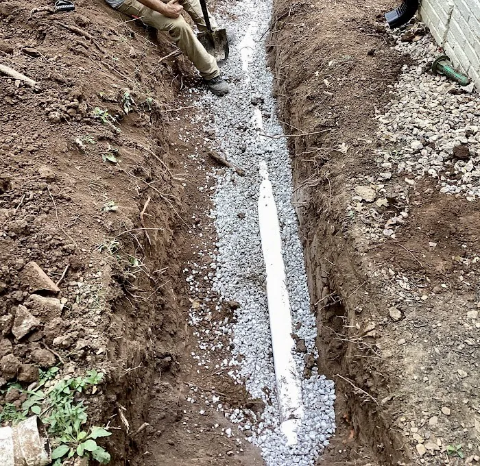 Hoffmann Brothers Picture 4