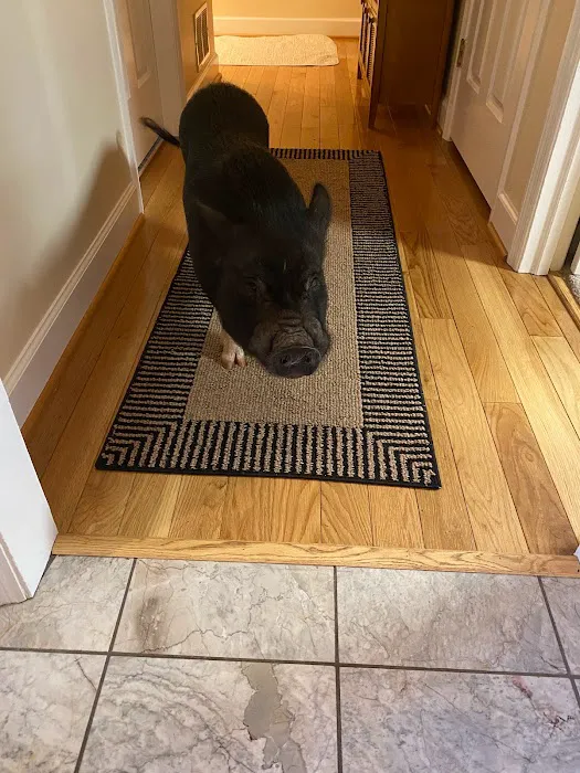 Aurora Pro Services I Heating Cooling Plumbing Roofing Electrical Picture 6