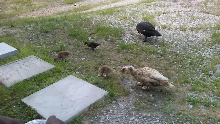 High Point Refrigeration & Air Conditioning Company Picture 10